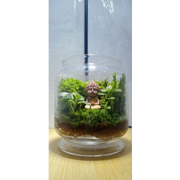 Combo làm bình Terrarium mini