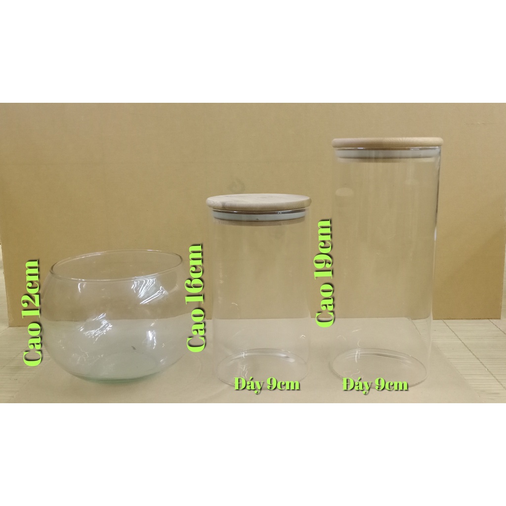 Set combo tự set up bình  Terrarium