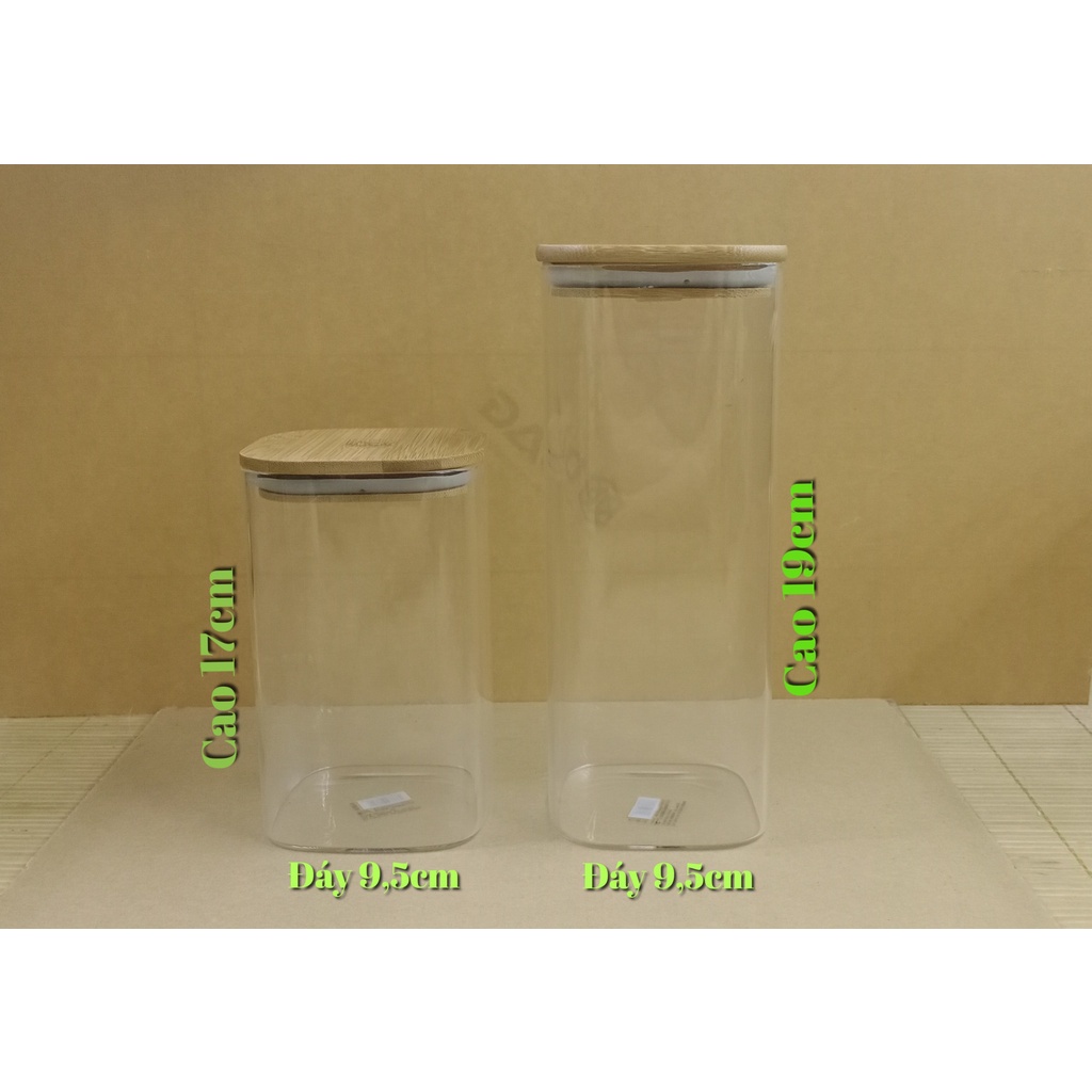 Set combo tự set up bình  Terrarium