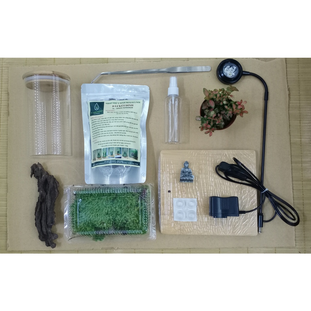 Set combo tự set up bình  Terrarium