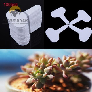 FASHYUNER Bộ 100 thẻ cắm ghi tên cho chậu trồng cây thiết kế độc đáo