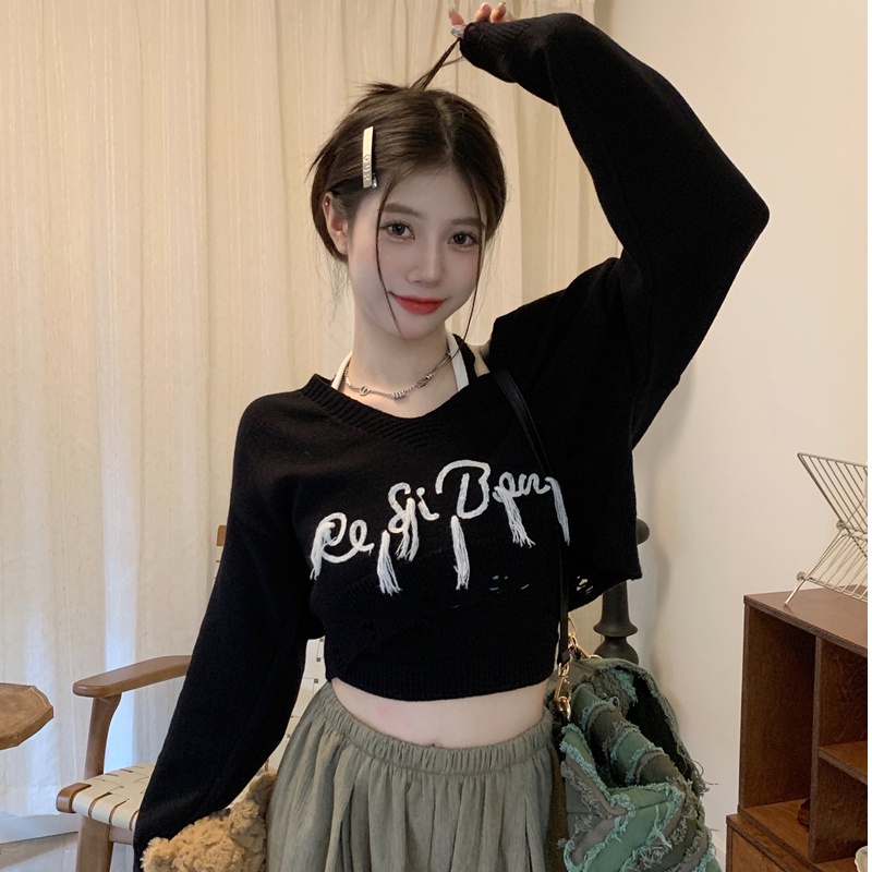 Áo sweater Tay Dài Dáng Rộng Thêu Chữ Phong Cách Mỹ Thời Trang Mùa Thu 2023