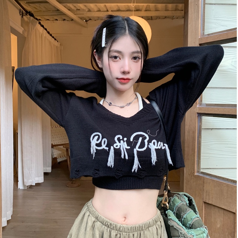 Áo sweater Tay Dài Dáng Rộng Thêu Chữ Phong Cách Mỹ Thời Trang Mùa Thu 2023