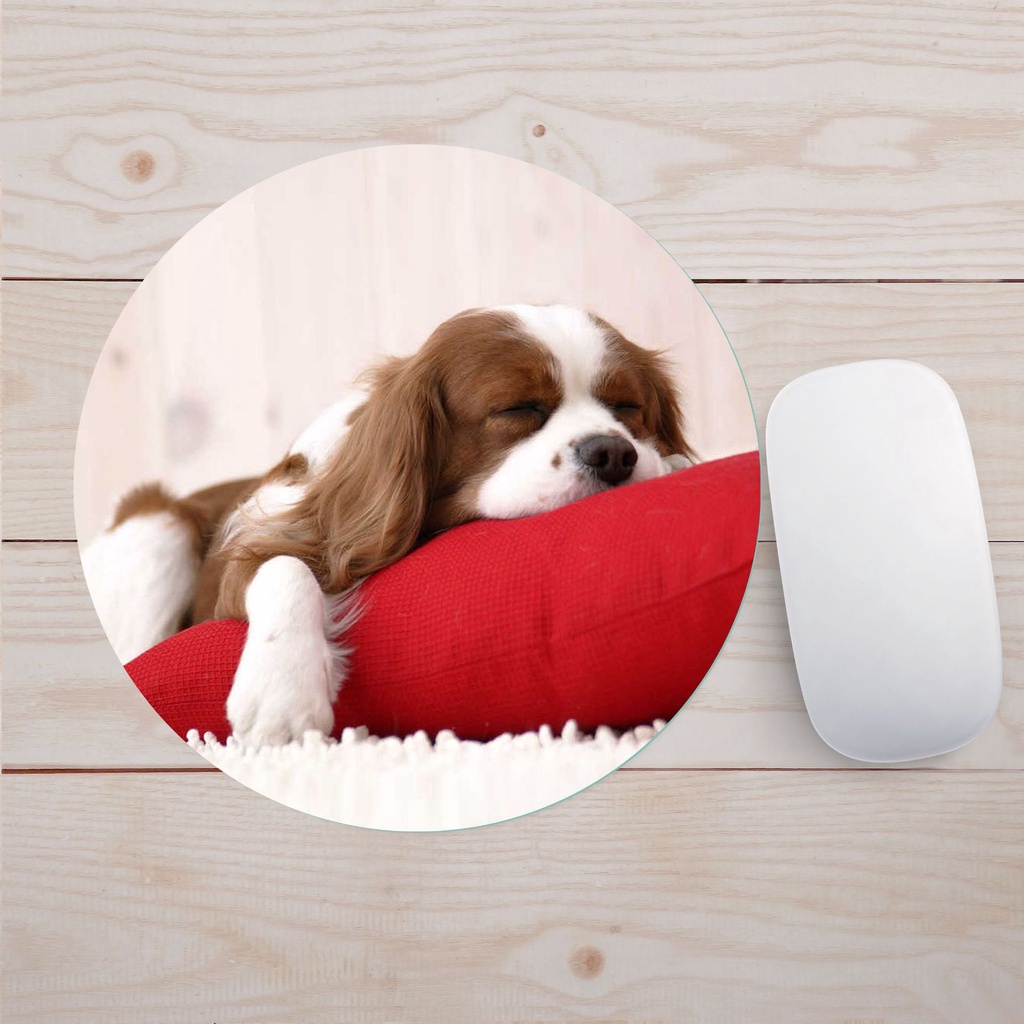 Miếng lót chuột, Bàn di chuột hình tròn 20 x 20cm Giá Rẻ siêu dễ thương ARSE FANS