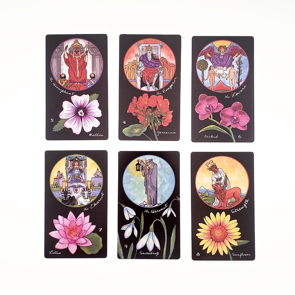 12x7cm Hoa Phù Thủy Tarot Sách Mới Lạ Người Mới Bắt Đầu Bộ Bài Tarot Phổ Biến Nhất 78 Lá Bài Phiên Bản Phổ Biến Của Werther Tarot