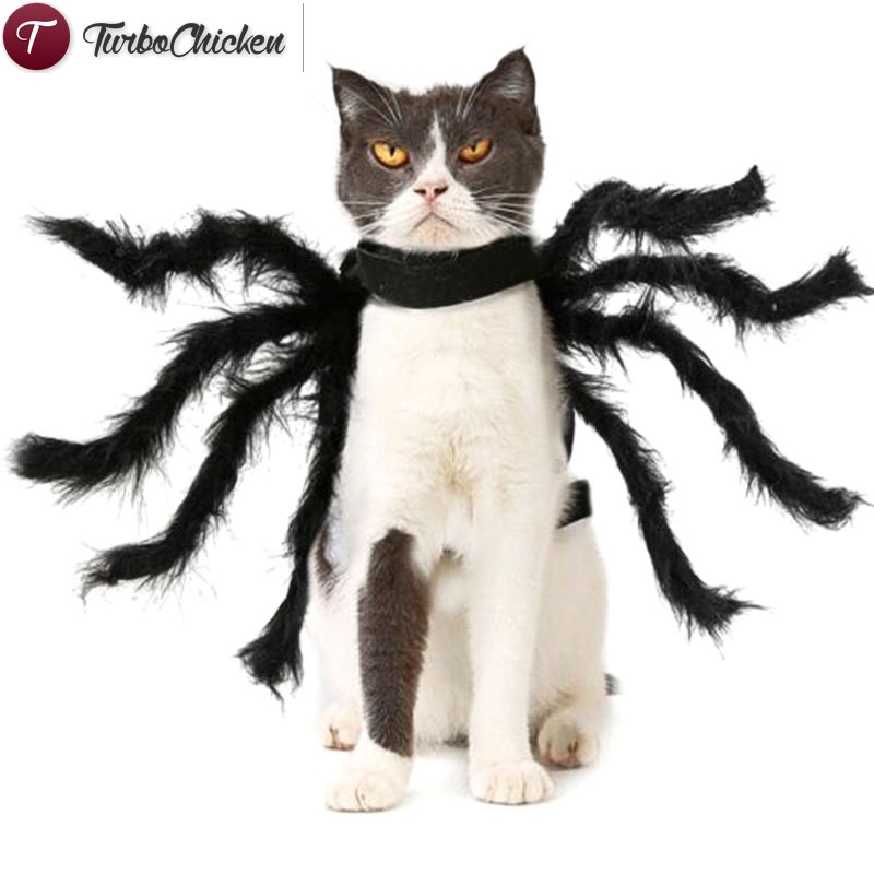 Bộ Đồ Hóa Trang Người Nhện Vui Nhộn Cho Thú Cưng Dịp halloween