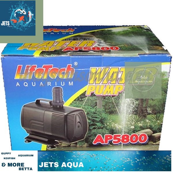Máy Bơm Nước Lifetech AP5800 (360W - 12000L/H - 5M) - Máy Bơm Hồ Cá Cao Cấp