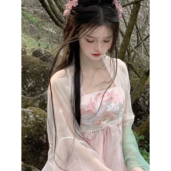 Đầm Hán Phục Cách Tân Tay Dài Thêu Họa Tiết Trung Hoa Thời Trang Xuân Hè Xinh Xắn