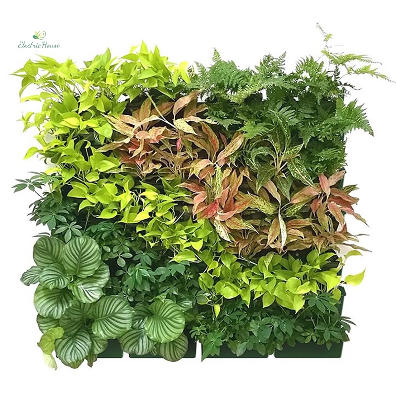 Chậu Hoa Treo Tường Dọc Màu Xanh Lá Cây M I