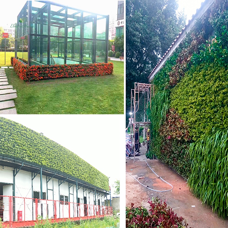 Chậu Hoa Treo Tường Dọc Màu Xanh Lá Cây M I