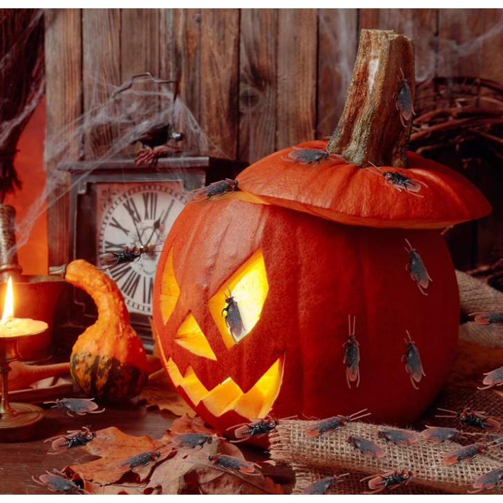 Bộ 50 Con Gián Giả Dùng Trang Trí Tiệc Halloween