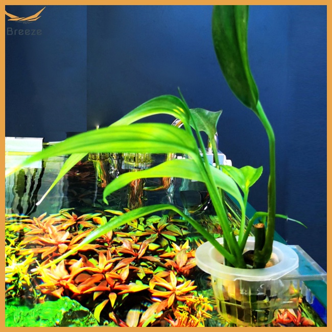 Breeze Set 2 Giá Đỡ Trồng Cây Thủy Sinh Có Lỗ Trang Trí Bể Cá