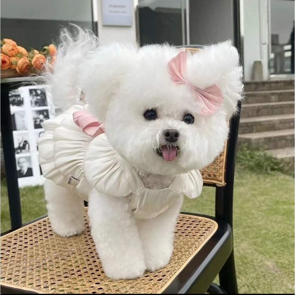 Váy Lưới Thoáng Khí Chống Nắng Phong Cách Mới Dành Cho Thú Cưng
