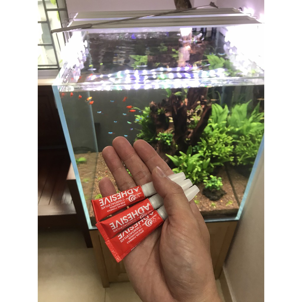 Keo Dán Rêu | Keo dán cây thuỷ sinh tuýp 5g
