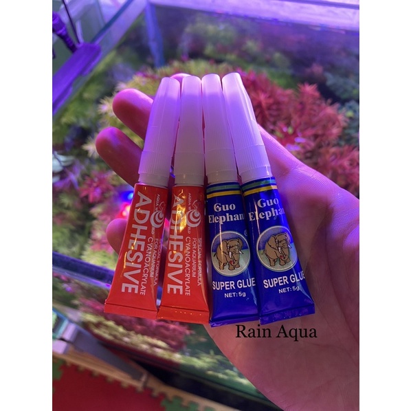 Keo Dán Rêu | Keo dán cây thuỷ sinh tuýp 5g