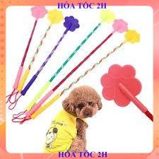 Roi tét đít huấn luyện chó mèo