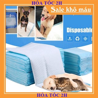 Giấy lót ổ cho chó mèo