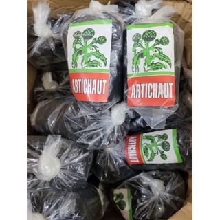 Cao atiso phỐ thẢo mỘc ( chihoang2709)