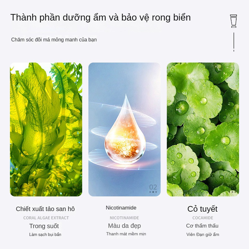 Macroalgae Sữa Rửa Mặt 500g Hydrat Hóa Giữ Ẩm Làm Sạch Sâu Không Cần Đóng Kín