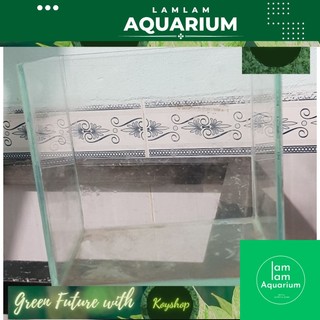Hỏa tốc hcm ) hồ cá mini,hồ cá betta để bàn 15x10x15 dán giấu keo siêu đẹp