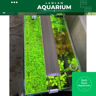 ( toàn quốc)  Đèn Led XML 20cm dến 100cm- ánh sáng trắng  ánh sáng màu RGB Cho Bể Thủy Sinh độ sáng tốt,