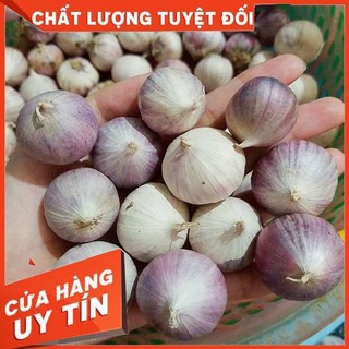 2KG Tỏi cô đơn dùng làm tỏi đen (sai trung) - thơm ngon Thiên Thảo Organic