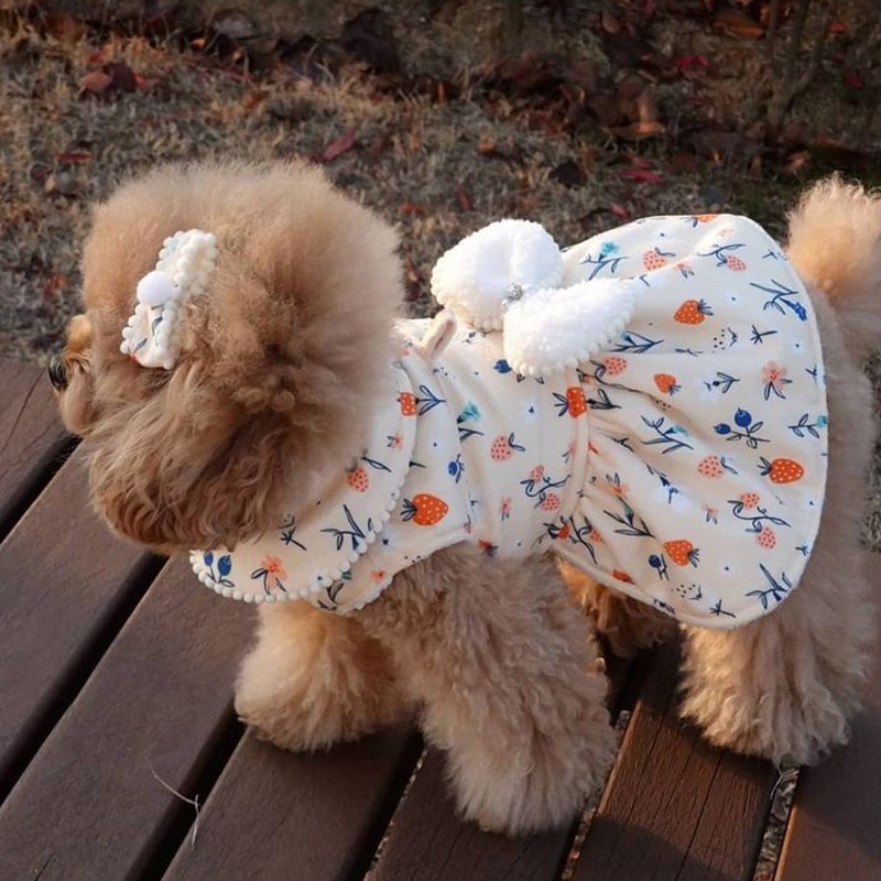 Đầm Bông Mềm Mại In Họa Tiết Hoa Giữ Ấm Mùa Đông Cho Thú Cưng shih tzu teddy
