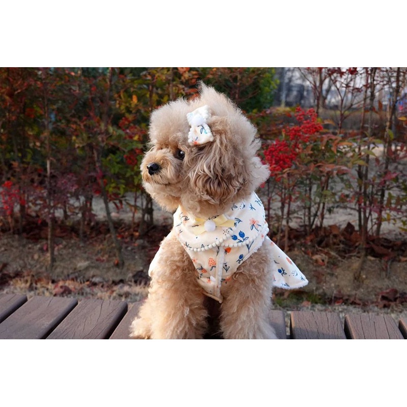 Đầm Bông Mềm Mại In Họa Tiết Hoa Giữ Ấm Mùa Đông Cho Thú Cưng shih tzu teddy