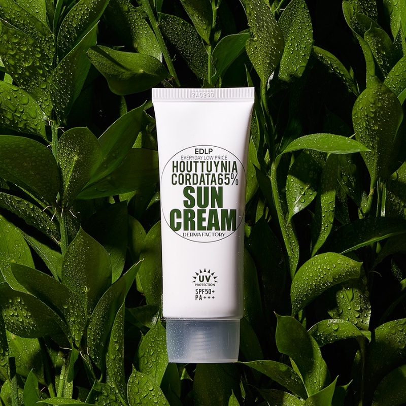 Kem chống nắng diếp cá Derma Factory Houttuynia Cordata 65% Sun Cream 50g Daily Beauty