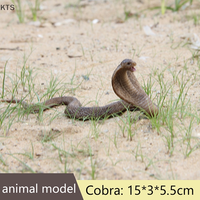 Kts Mô Hình Con Rắn Đồ Chơi Giống Thật Làm Quà halloween kt