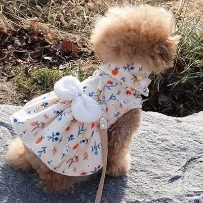 Đầm Bông Mềm Mại In Họa Tiết Hoa Giữ Ấm Mùa Đông Cho Thú Cưng shih tzu teddy
