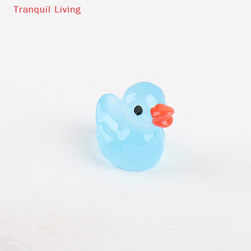 Bộ 5 Vịt Dạ Quang Trang Trí Phong Cảnh diy