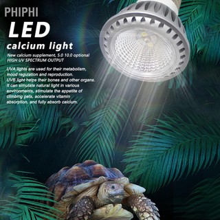 Phiphi có hàng sẵn rùa basking bóng đèn uva uvb gương lõm và lồi suốt led bò sát nhiệt thay thế