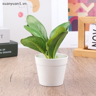 1 Chậu Cây Giả mini Để Bàn Trang Trí