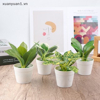 1 Chậu Cây Giả mini Để Bàn Trang Trí