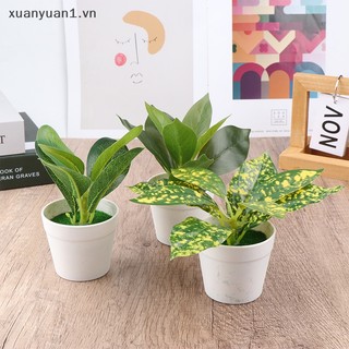 1 Chậu Cây Giả mini Để Bàn Trang Trí