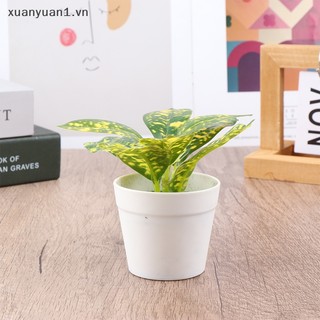 1 Chậu Cây Giả mini Để Bàn Trang Trí