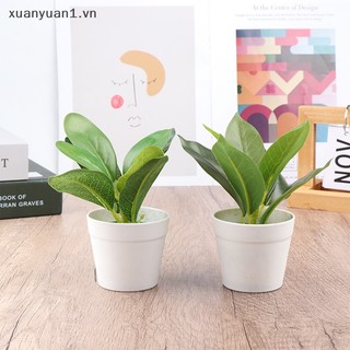 1 Chậu Cây Giả mini Để Bàn Trang Trí