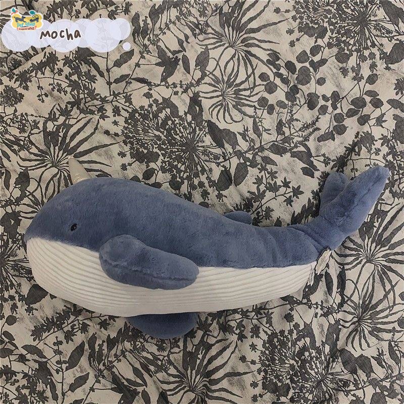 Dễ Thương Thú Nhồi Bông Hình Cá Voi / Gấu teddy Đáng Yêu