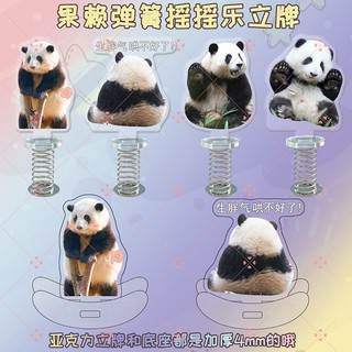 Panda lai Trái Cây huahua menglan fubao meilan merchandise acrylic Lắc Lò Xo Vui Nhộn Trang Trí Xe Hơi Quà Tặng Văn Hóa Gấu Trúc merchandise huahua menglan fubao qizai guolai