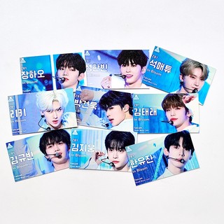 Bộ album Ảnh lomo card youth in the shade zb1 comeback zerobaseone ht