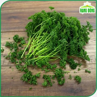 Hạt giống Ngò Tây mùi thơm dễ chịu, rau thơm dễ trồng