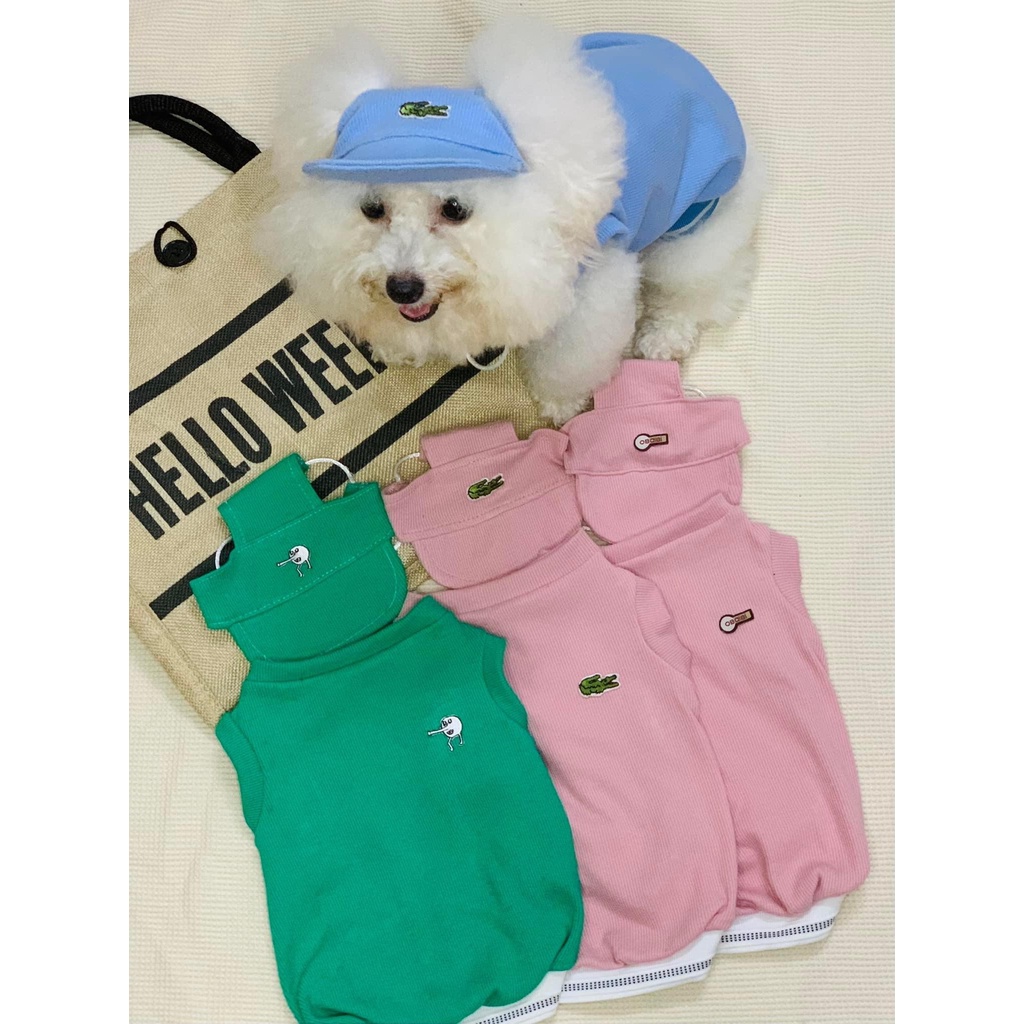 Set Áo Kèm Nón Lưỡi Trai Cho Chó Mèo Thú Cưng