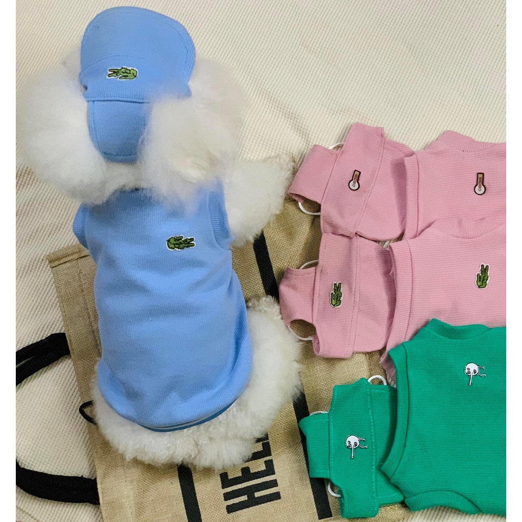 Set Áo Kèm Nón Lưỡi Trai Cho Chó Mèo Thú Cưng