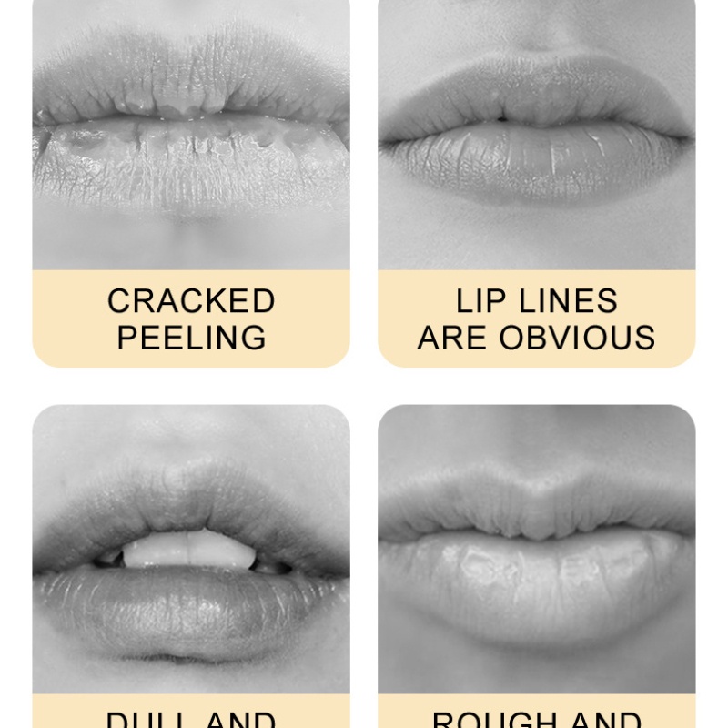 Sadoer Son Môi vitamin c Dưỡng Ẩm Cải Thiện Tình Trạng Khô Môi 2.7g