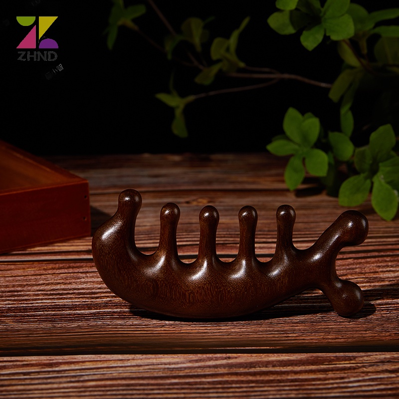 Zhuzhengde 1 Lược Chải Tóc Mát Xa Da Đầu Chống Tĩnh Điện