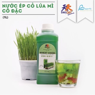  Nước cốt cỏ lúa mì cô đặc thương hiệu Everyday - Can 1L-4L
