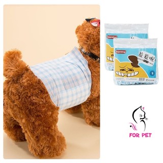 🌈 Bỉm (Tã Lót) Hipidog Cho Các Bé Cún (Cái & Đực) 🐶🐩