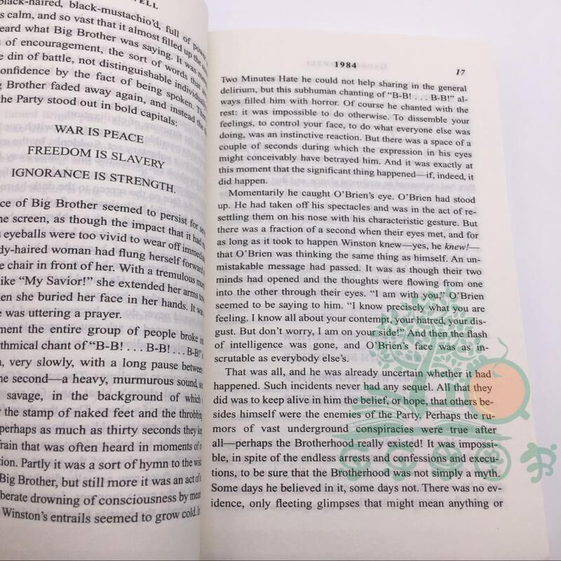 One Áo Thun In Hình Nhóm Nhạc Cổ Điển Năm 1984 Signet Classics