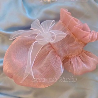 Váy công chúa Lọ Lem Váy thú cưng Puppy Maltese Thu Đông Handmade Teddy Bichon